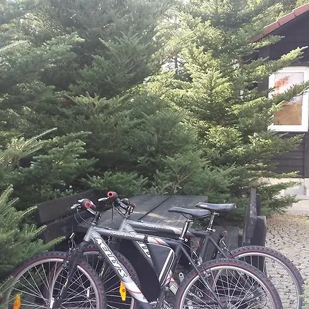 Pod Lasem Ubytování v soukromí *